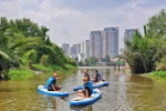 胡志明市居民体验立式划艇 观赏城市另一番美景 