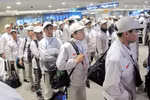  附图（图片来源于网络）