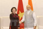越南国会主席阮氏金会见印度总理纳伦德拉·莫迪（图片来源：越通社）