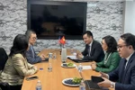越南希望与美国保持稳定的贸易关系