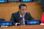 越南常驻联合国代表团团长邓黄江大使。图自越通社