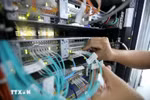 附图。图自越通社