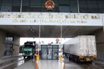 推进越南与中国农林水产品进出口对接。图自越通社