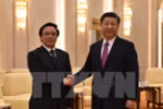 中共中央总书记、中国国家主席习近平会见越共中央总书记阮富仲特使黄平君（图片来源：越通社）