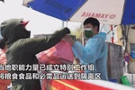 河内市成立运输小组 将必需品送到接受隔离人群手中