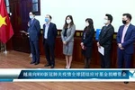 越南向WHO新冠肺炎疫情全球团结应对基金捐赠资金