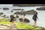 广义省2018年第一次李山文化旅游周即将举行