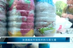 加强越南环保组织的互联互通 