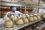 越南首批燕窝正式出口中国