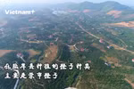 陆岸县山丘上的“小太阳”