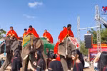 邦敦大象节推广大象友好型旅游