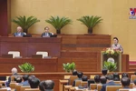 越南第十四届国会第十一次会议隆重开幕