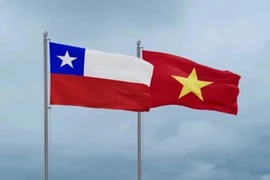 越南与智利国旗。图自互联网