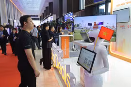 胡志明市部署2025 - 2030年阶段知识产权发展计划。图自信息与民族报