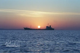 油轮停泊在霍尔木兹海峡（Hormuz）格什姆岛（Qeshm）近海区域。图自越通社