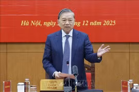苏林总书记发言。图自越通社