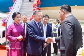 泰国农业与合作社部副部长瓦差拉蓬·考坎到机场迎接苏林总书记一行。图自越通社