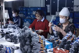 纺织品、皮鞋类在“自家主场”仍具巨大潜力。图自越通社