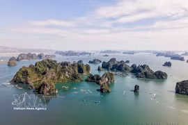 越南位列最受青睐的旅游与移居国家前四强，图为广宁省下龙湾。图自越通社