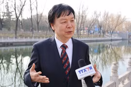 北京外国语大学教授、东南亚研究中心主任米良。图自越通社
