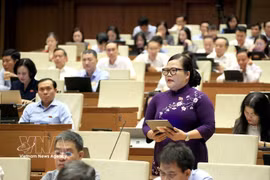 国会代表发表意见。图自越通社