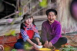 越南老人护理：亟待尽早制定可持续的战略