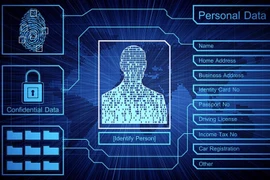 附图。图自互联网