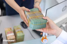 惠誉将越南长期高级有担保债务工具评级上调至BBB-