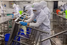 某一厂房的工人过年后重返工作岗位。图自越通社
