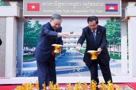 苏林总书记访柬行程为双边关系注入新动力。图自越通社