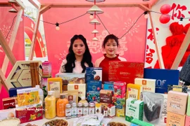 越南风情在中国重庆新春国际博览会绽放。图自越通社