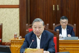 越共中央总书记苏林主持召开中央书记处会议。图自越通社