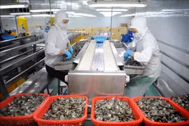 附图。图自越通社