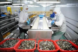 附图。图自越通社