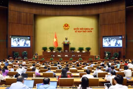 越南第十五届国会第九次会议：讨论《广告法》草案。图自越通社