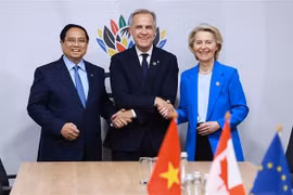 越南政府总理与加拿大总理、欧盟主席就加强 CPTPP—EU互联互通问题进行讨论。图自越通社