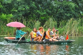 越南旅游景点深受国际游客青睐。图自越通社