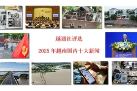 北宁省居民在武强坊行政服务中心办理行政手续。图自越通社