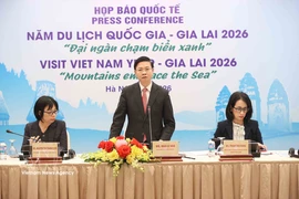 越南外交部与嘉莱省人民委员会在河内联合举行国际媒体吹风会。图自越通社