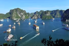 广宁省下龙湾成为中国游客十分青睐的旅游目的地。图自越通社