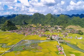 越南绿意盎然、体验丰富的社区旅游村