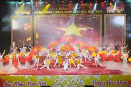 2026年丙午年春节的新春气息传遍越南各地