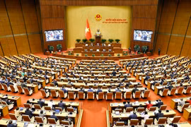 国会第九次特别会议讨论宁顺核电站项目建设投资主张。图自越通社