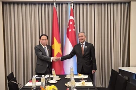 越共中央政治局委员、外交部长黎怀忠会见新加坡外交部长维文。图自越通社
