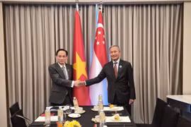 越共中央政治局委员、外交部长黎怀忠会见新加坡外交部长维文。图自越通社