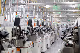 位于宁平省同文一号工业园区的汉城半导体有限公司（Seoul Semiconductor Vina）厂房。图自越通社