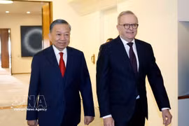 越共中央总书记、国家主席苏林同澳大利亚总理安东尼·阿尔巴尼斯举行会谈。图自越通社