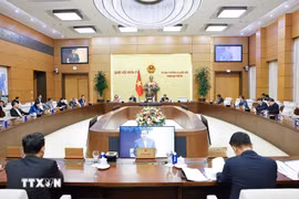 国会常委会召开一场会议。图自越通社