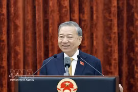 越共中央总书记、国家主席苏林。图自越通社