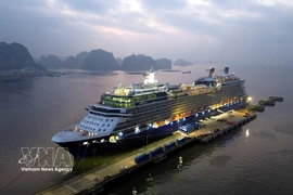 春节期间广宁省预计接待国际邮轮游客达数千人次。图自越通社